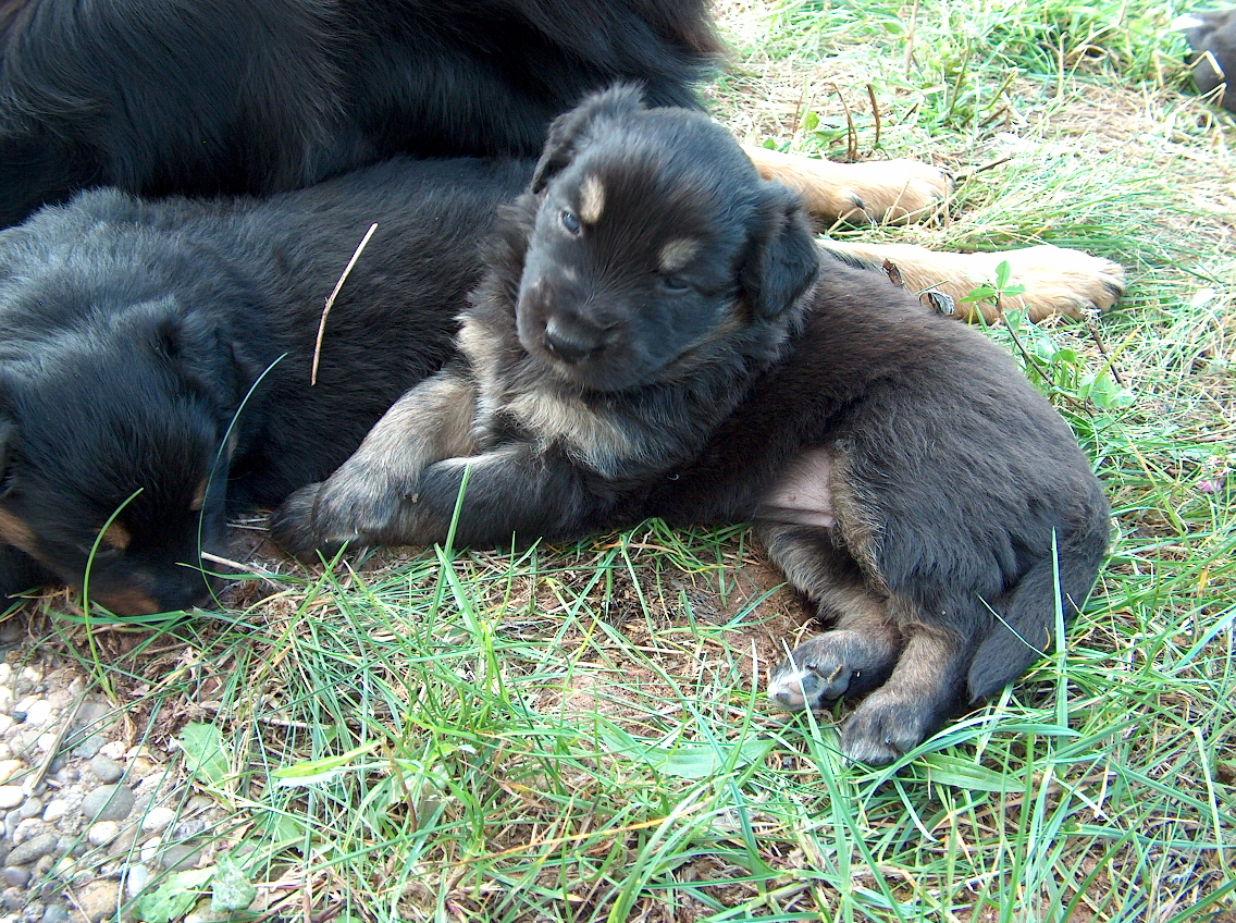 Mira+Baby