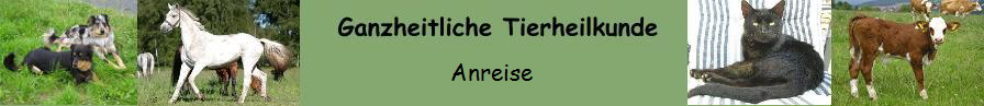 Anreise