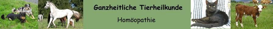 Homopathie