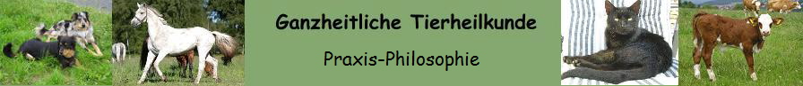 Praxis-Philosophie