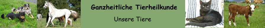 Unsere Tiere