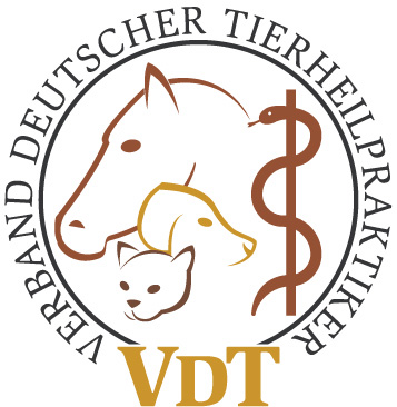 vdt_logo_farbig